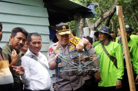 Kapolda Didi Apresiasi Budi Daya Kepiting Mangrove