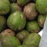buah dicari orang